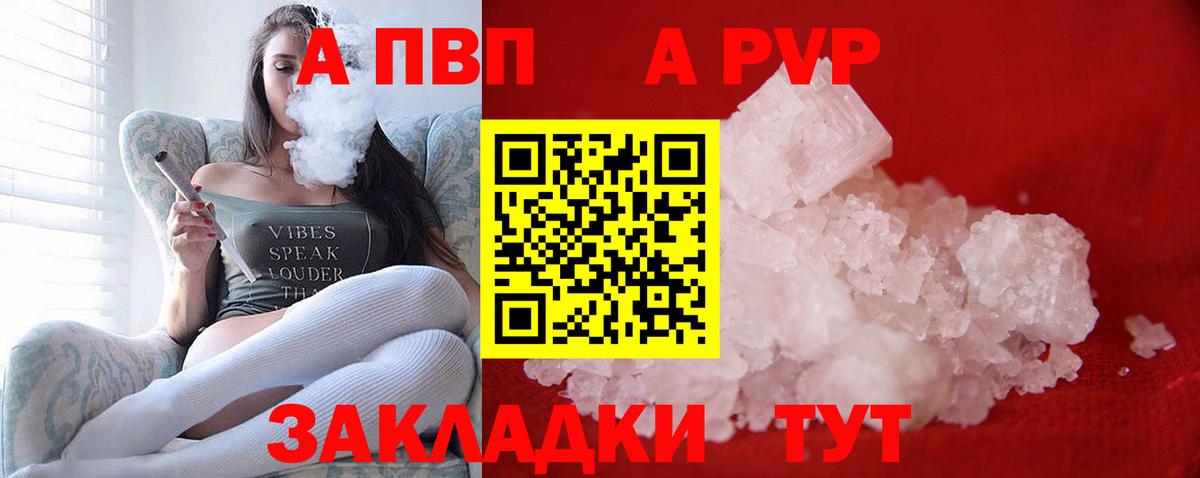 Альфа ПВП СК Зеленогорск